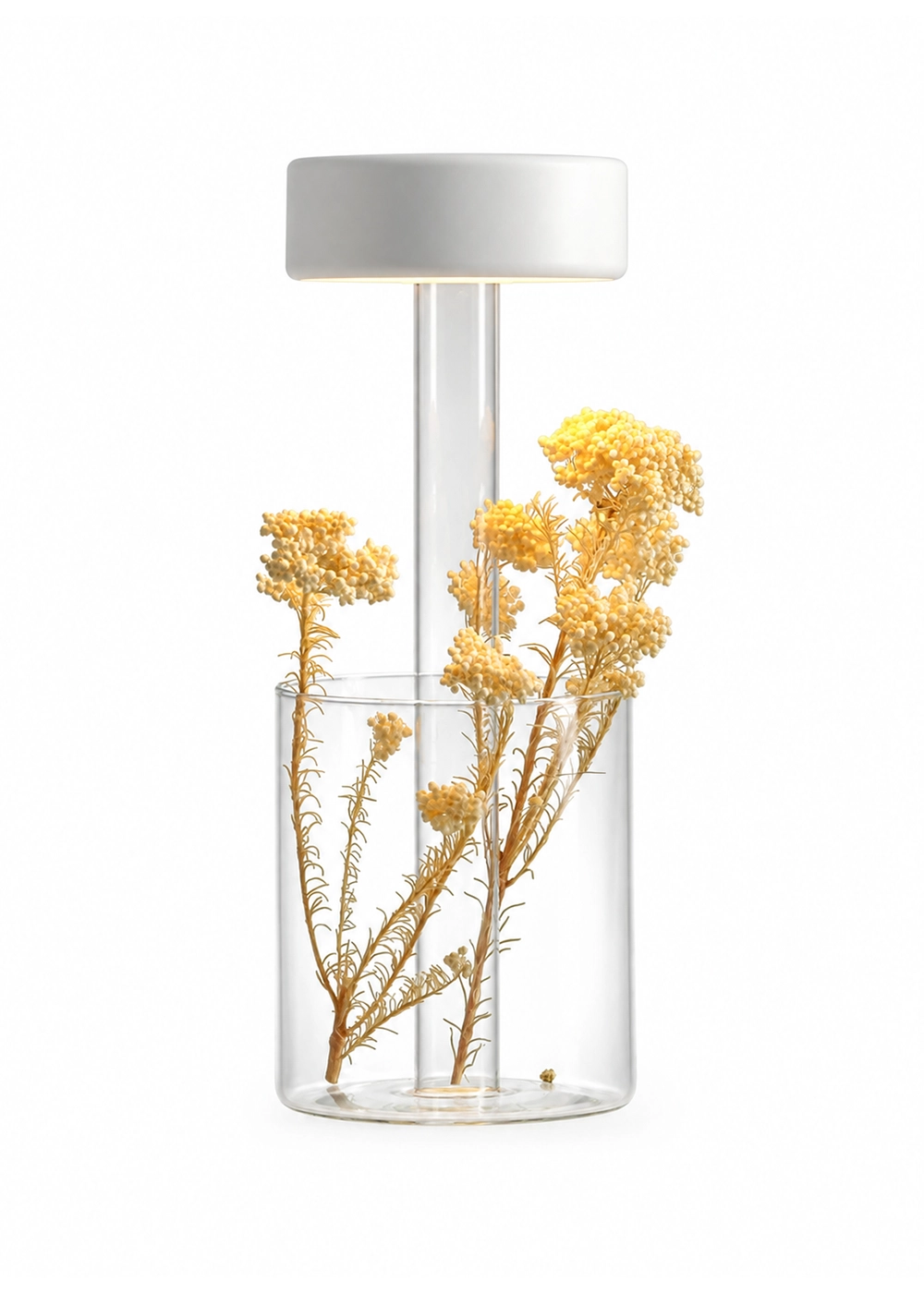 Vase Masa Lambası