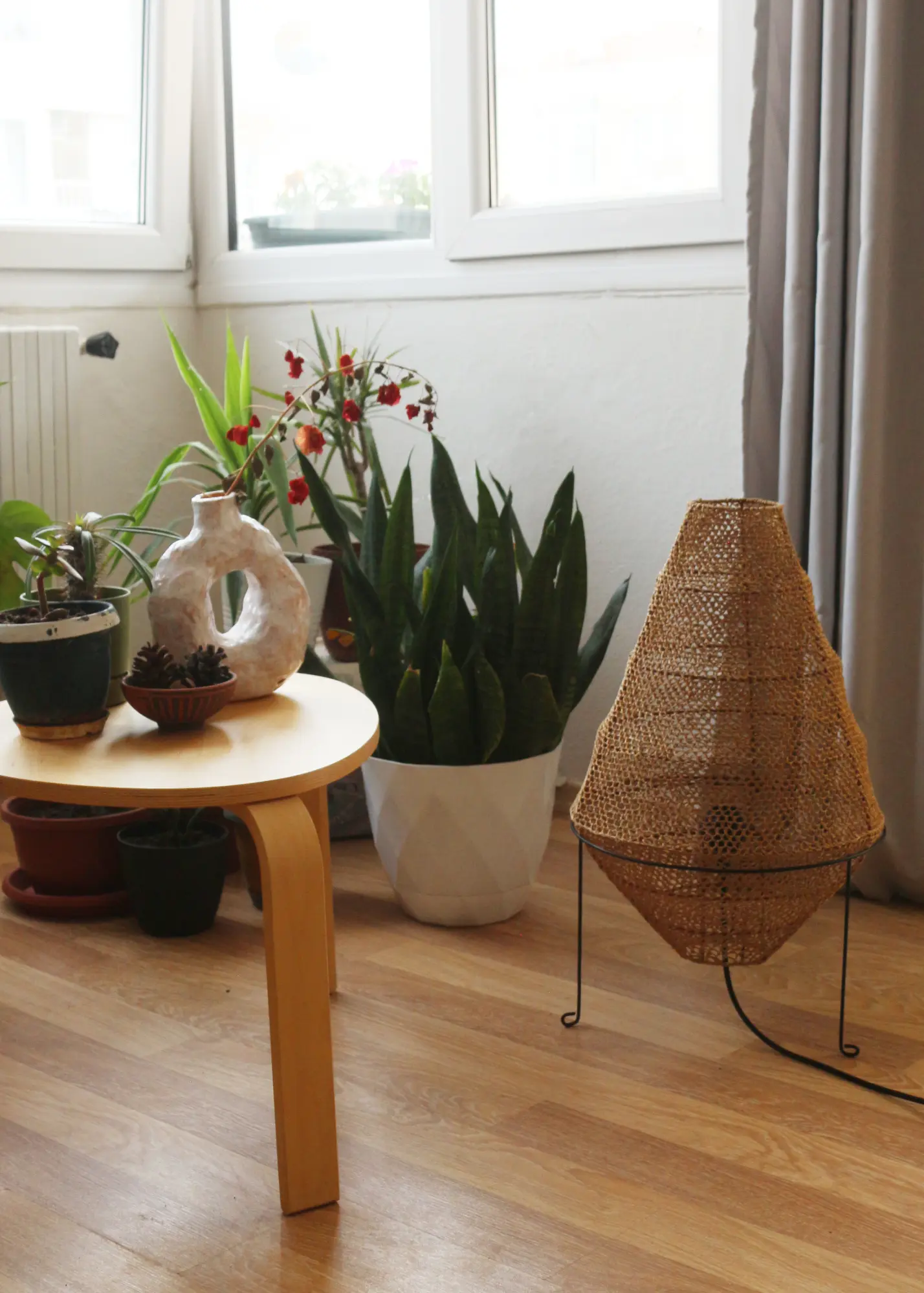 Sea Shell Yer Aydınlatması